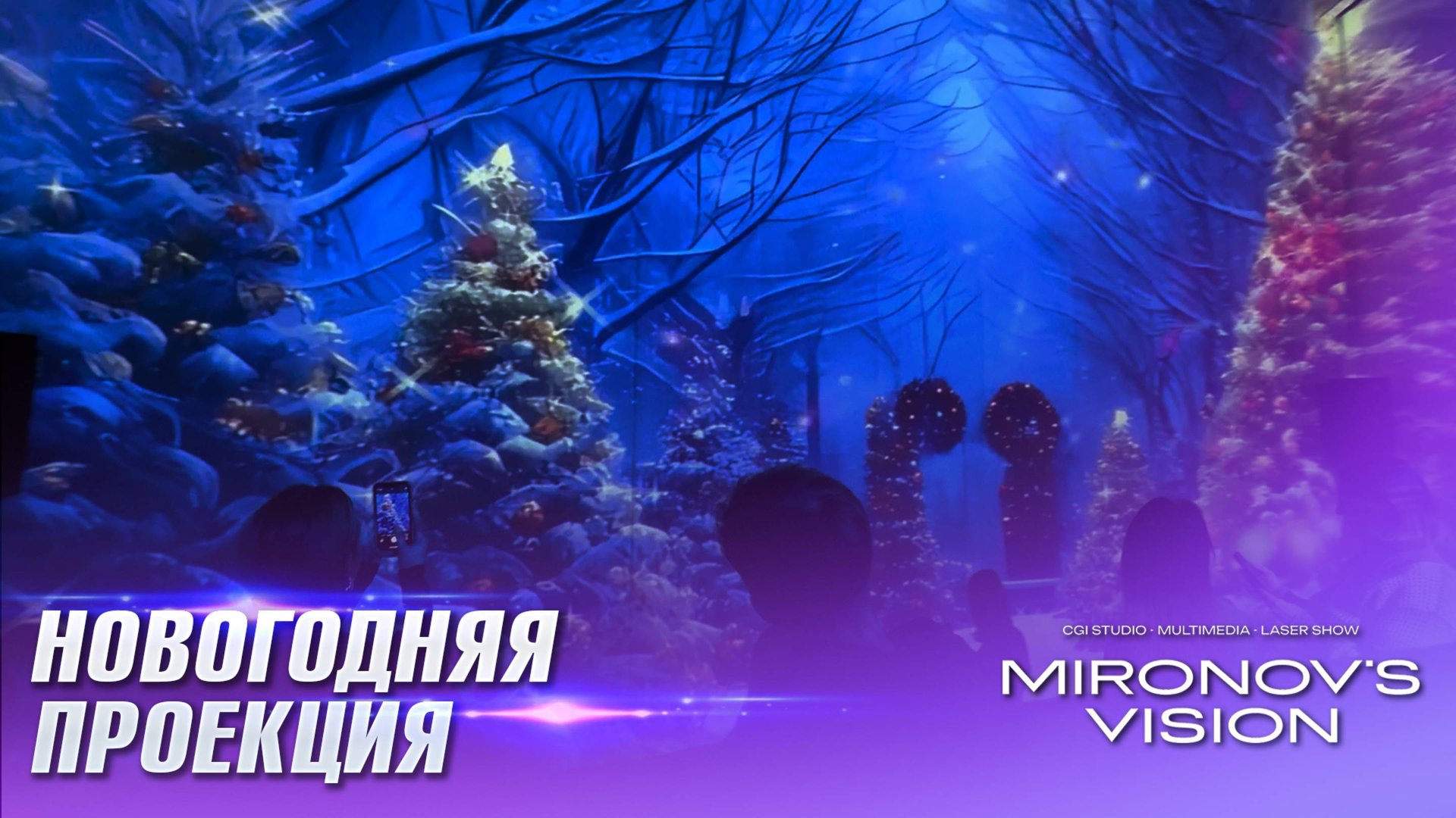 Новогоднее проекционное шоу